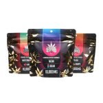 Smashed Sour Neon Bear Gummies 10000MG