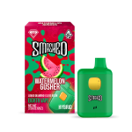 Smashed 3.5g Watermelon Gusher LD x LR Disposable